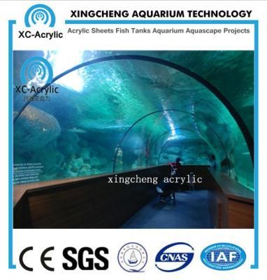 Customized Transparent UV PMMA Tunnel of Aquarium Factory