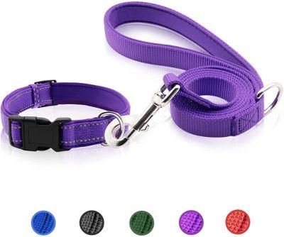 Nylon Dog Collar and Leash Set Soft Handle with Padded