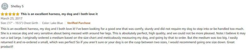 New Upgraded 5 Stars Ranking Best Medium Dog Leash Set Harness