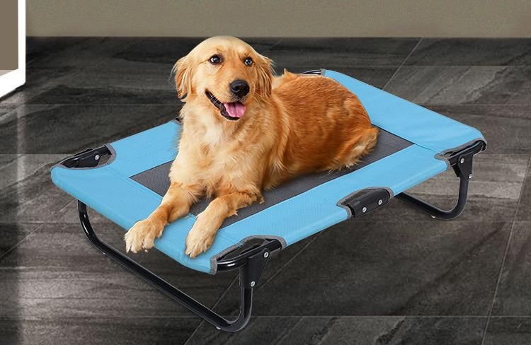 Foldable Large Size Steel Tube Folding Pet Bed Pet Cot Elevated Dog Bed Mesh Bed