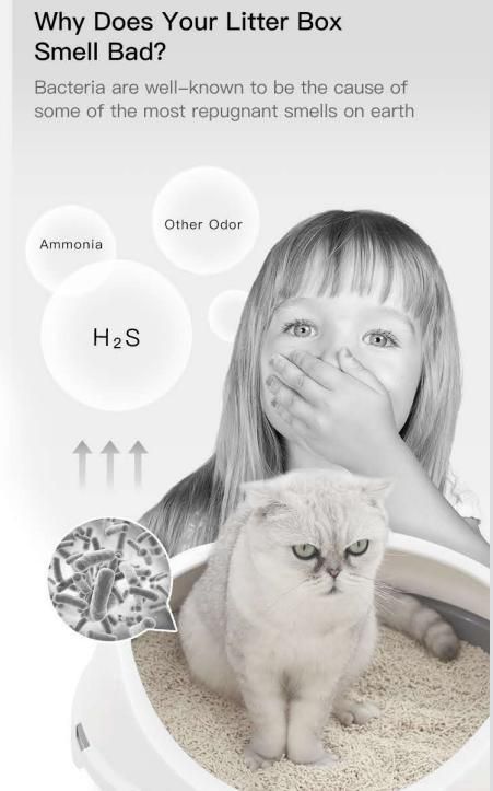 Cat Litter Deodorant Fresh Beads Make Your Cat Box Free of Odor