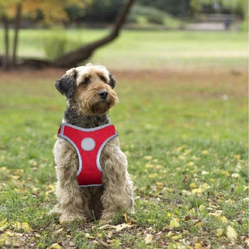 Comfortable Adjustable Pet Vest Harnesses for Walking