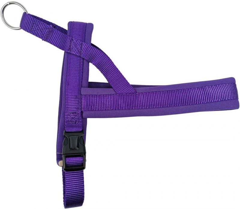 Dog Harness Easy on and off with 1 Clip for Walk with Small Dogs Pet Supply