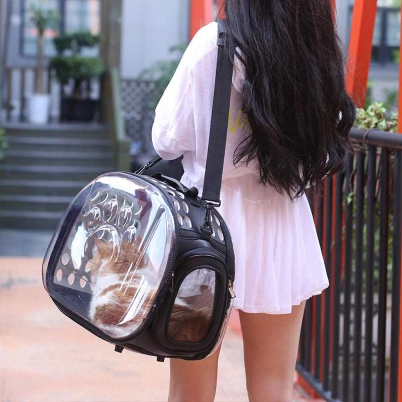 Outdoor Transparent Portable Breathable Foldable Cat Carrier Backpack Bag