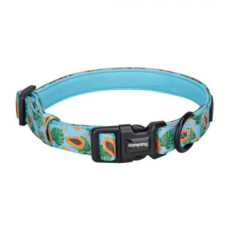 Personalized Customized Soft Durable Comforting Padded Handles Dog Collar
