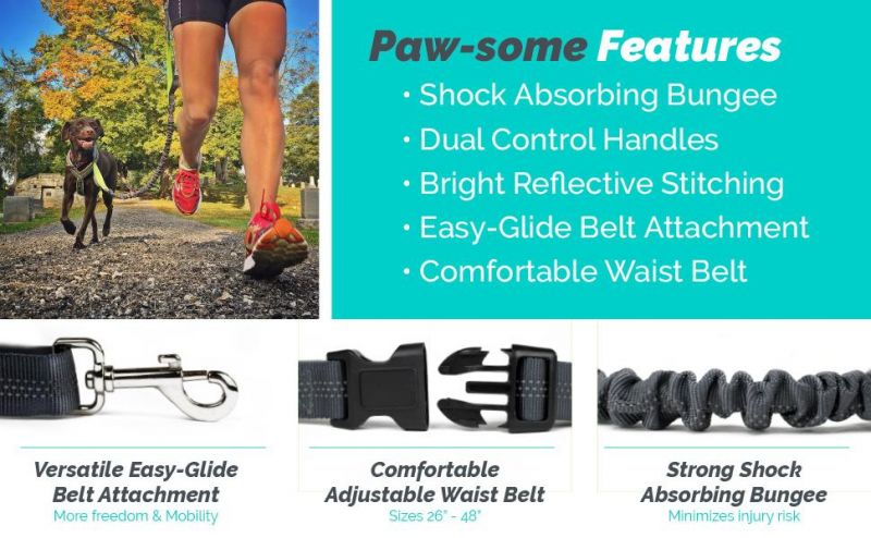 Strong Durable Shock-Absorbing Bungee Leash for Dogs Medium to Large