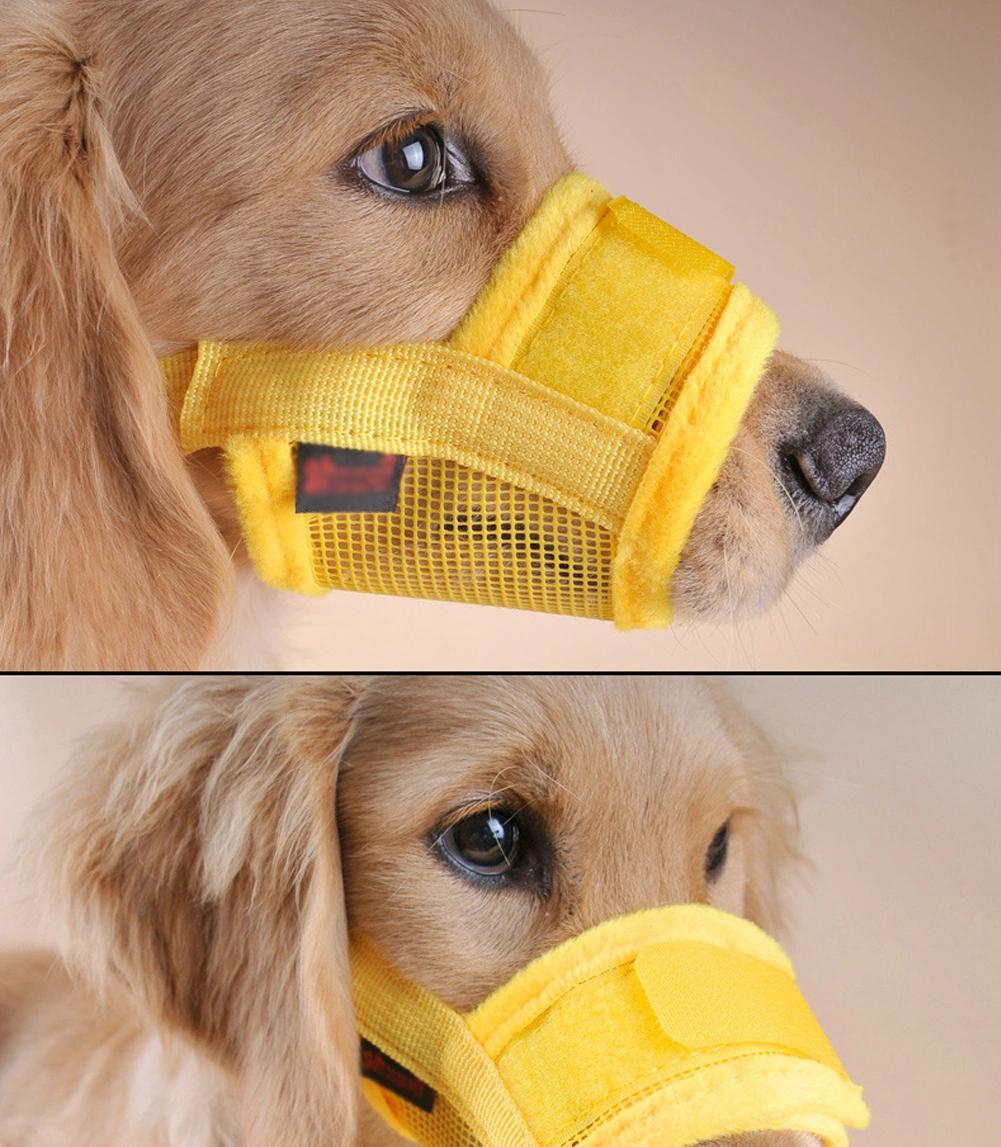 Dogs Nylon Straps Pet Mouth Muzzles Dog Pet Products
