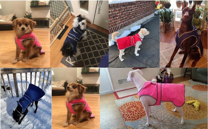 Dog Winter Clothes Dog Vest with Zipper Opening for Leash