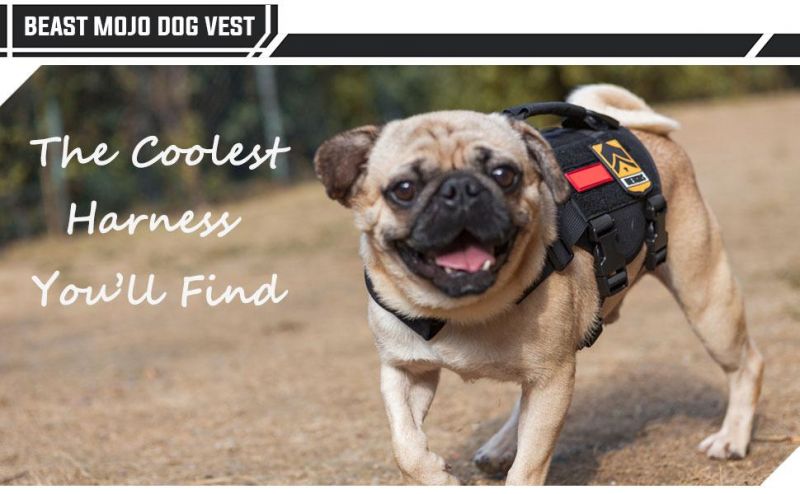 Dog Vest Durable Working Dog Tactical Dog Harness for Small Medium Puppy Dog