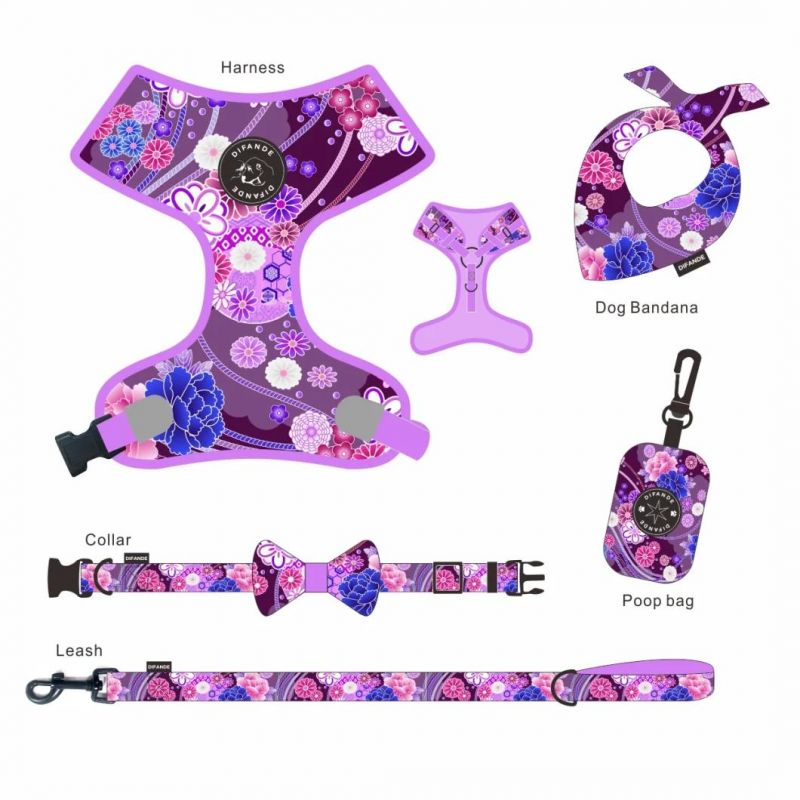 Custom Fashion Adjustable Pet Collar and Leash Harness Heat Transfer Sublimation Logo Printed Dog Collar Leash Set