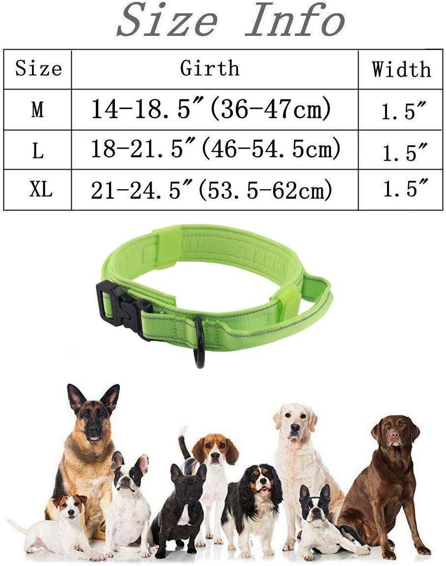 Reflective Nylon Dog Collar with Metal Buckle and Control Handle