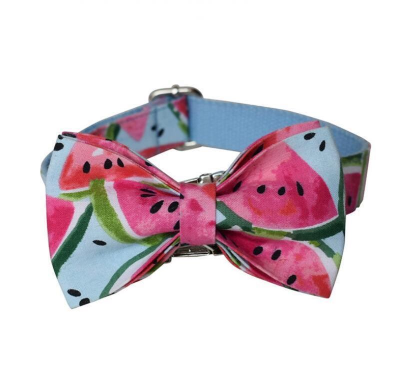 Dog Collar Pet Funny Adjustable Collars with Cute Leash for Small Medium Large Dogs Cats Collars Set