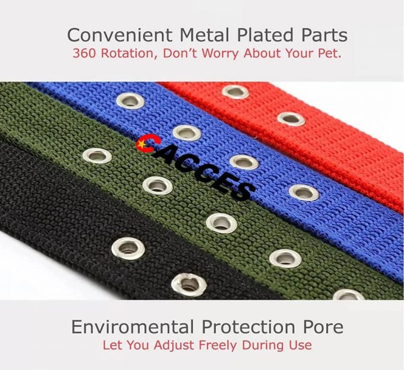 Cacces Padded Polypropylene Eyelet Collar Red Xs/S/M/L/XL Red, Black, Green, Blue, Purple, Pink, etc Factory Supply OEM Wholesale Hot Seller 2021 2022