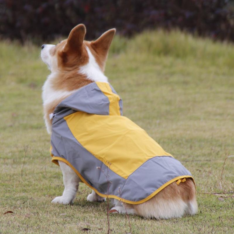 Wholesale Pet Supply Outdoor Hiking Pet Dog Raincoat