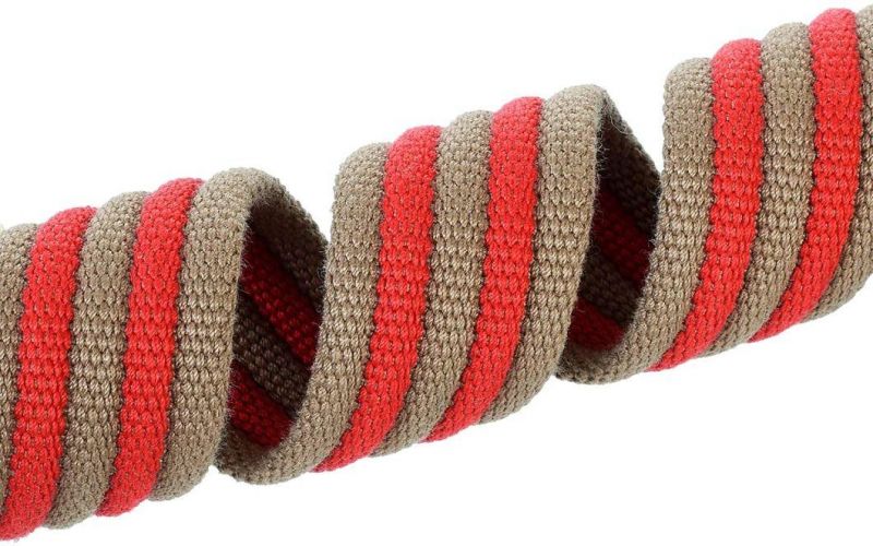 Dog Collar with Strong Soft Canvas Belt with Leather Tips and Zinc Alloy Rings