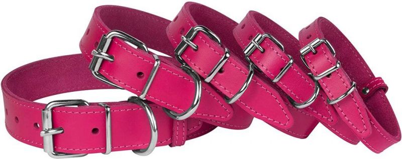 Fashionable Collar Leather Dog Collar with Multiple Colors