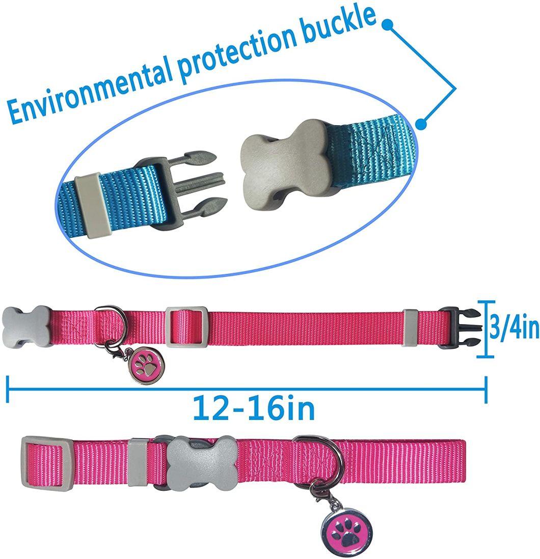 Basic Nylon Dog Collar with Classic Solid Color