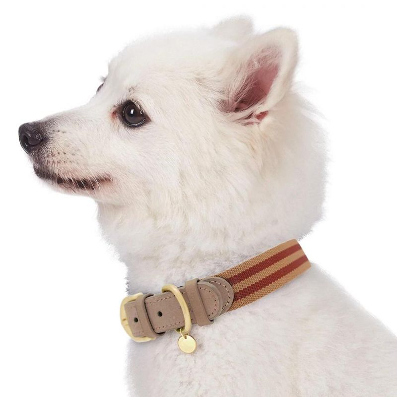 Genuine Leather Dog Collar Duty Pet Collar for Large Medium Dog Adjustable