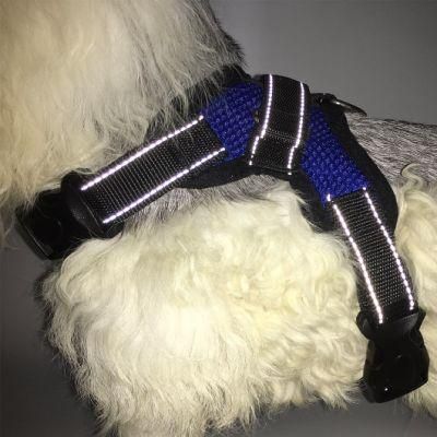 Breathable Wholesale Summer Dog Harness Pet Accessories