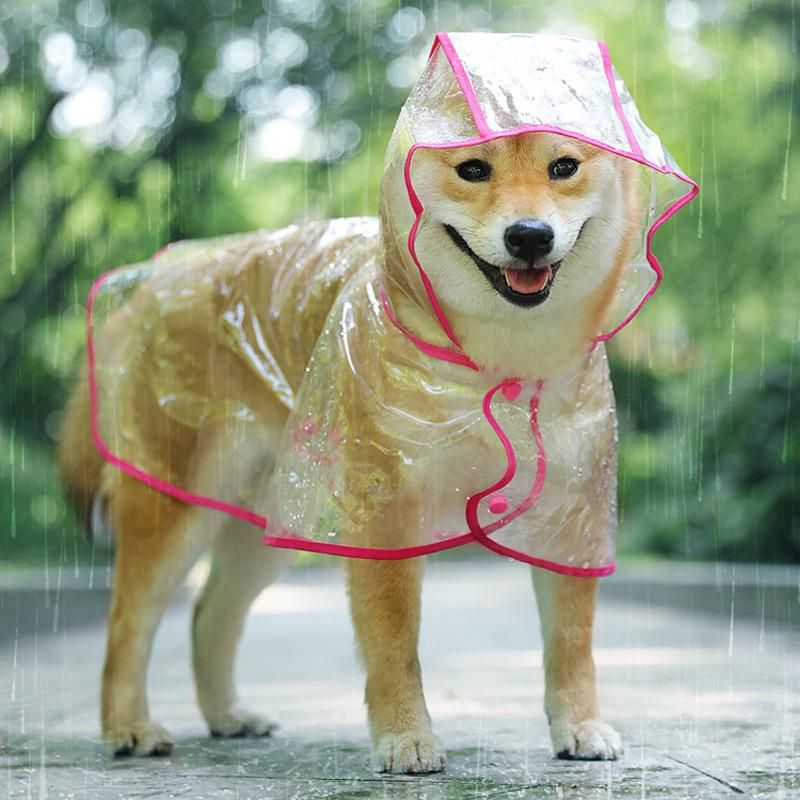 Transparent Waterproof Raincoat for Dogs in Spring and Summer