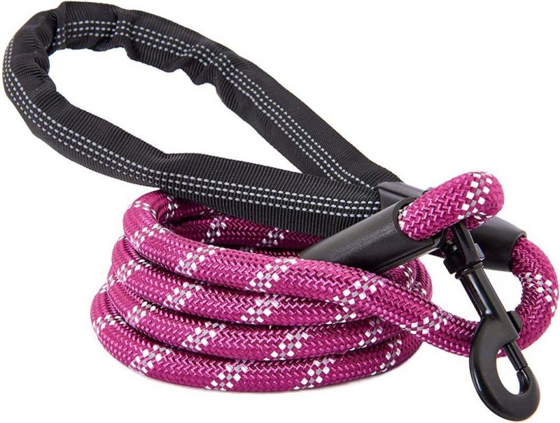 Reflective Strong Rope Dog Leash Chew Resistant Paracord for Medium and Large Dogs with Durable Metal Clasp