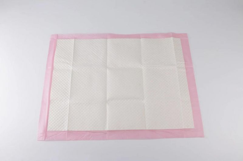 OEM High Absorption Pet Products/Training Pads/Pet Diaper
