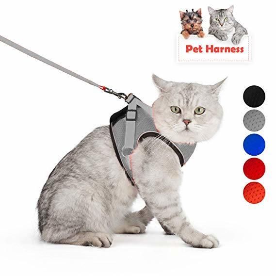 Cat Harness Escape Proof Small Cat and Dog Soft Mesh Vest Harnesses Adjustable Pet Harness with Leash Clip Reflective Strap Cat Walking Jacket