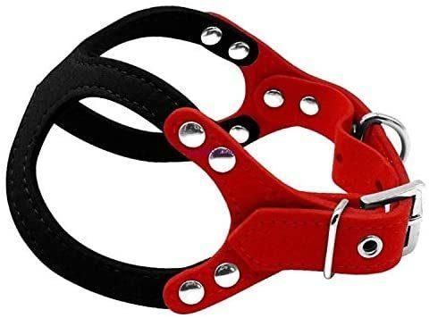 Dog Harness Buddy Belt Style