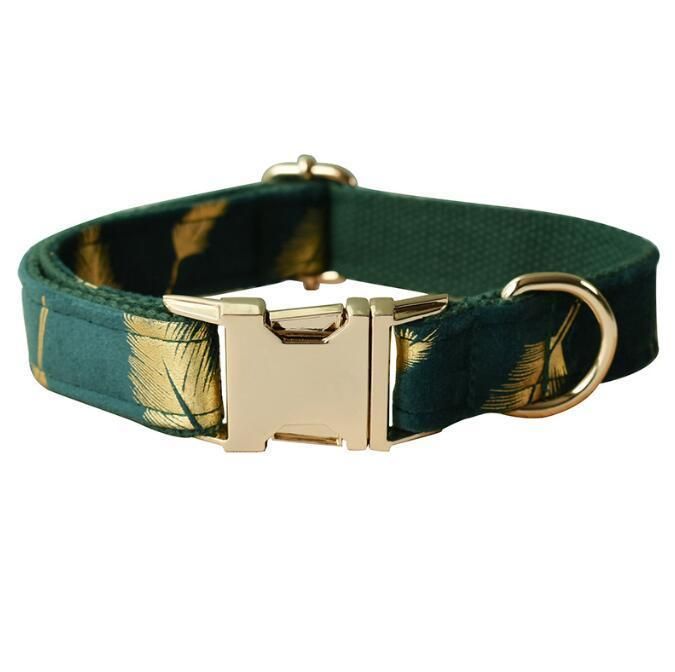 Comfortable and Easy to Clean Luxury Dog Collar