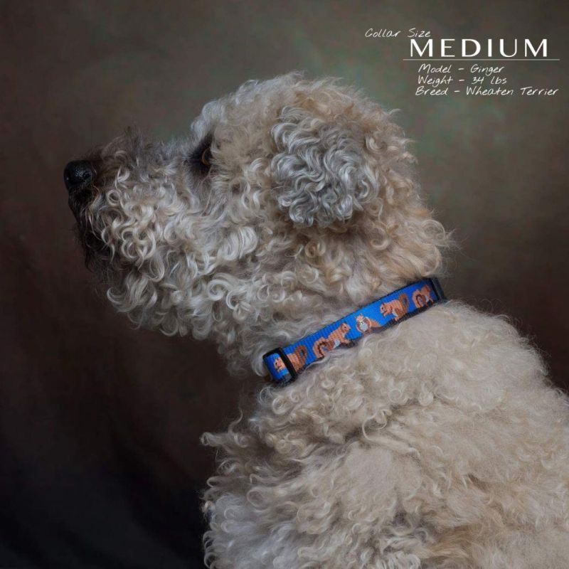 Durable Unique Design Animal Bug Themed Dog Collar