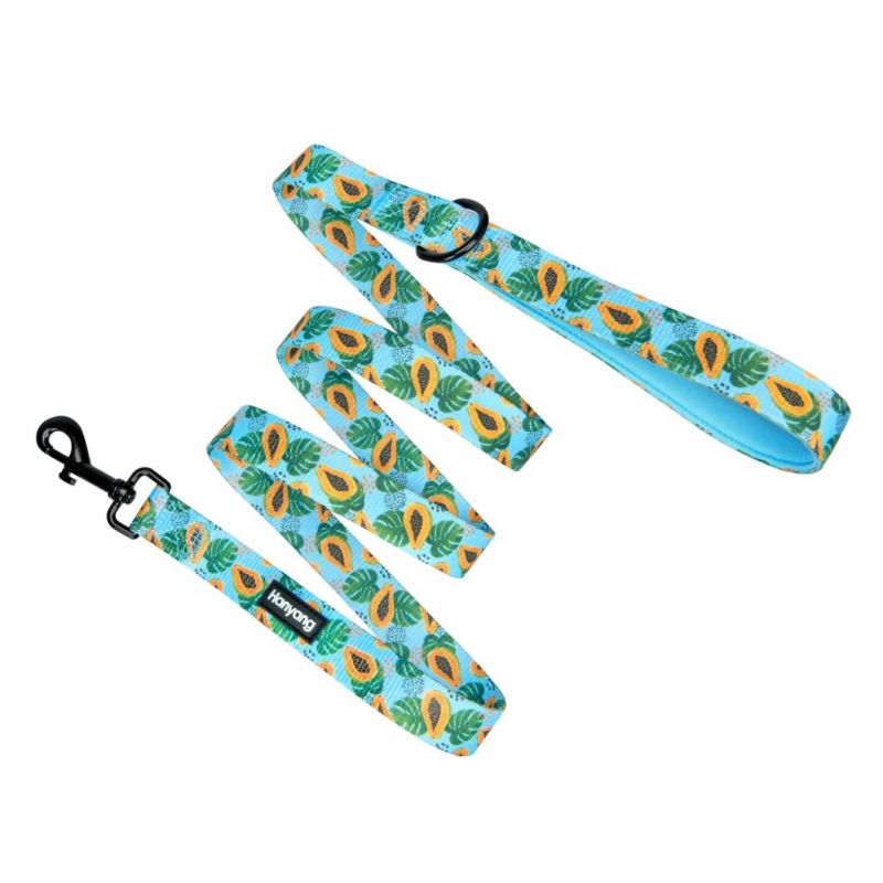 Hot Sale OEM Factory Luxury Dog Leash Dog Accessories