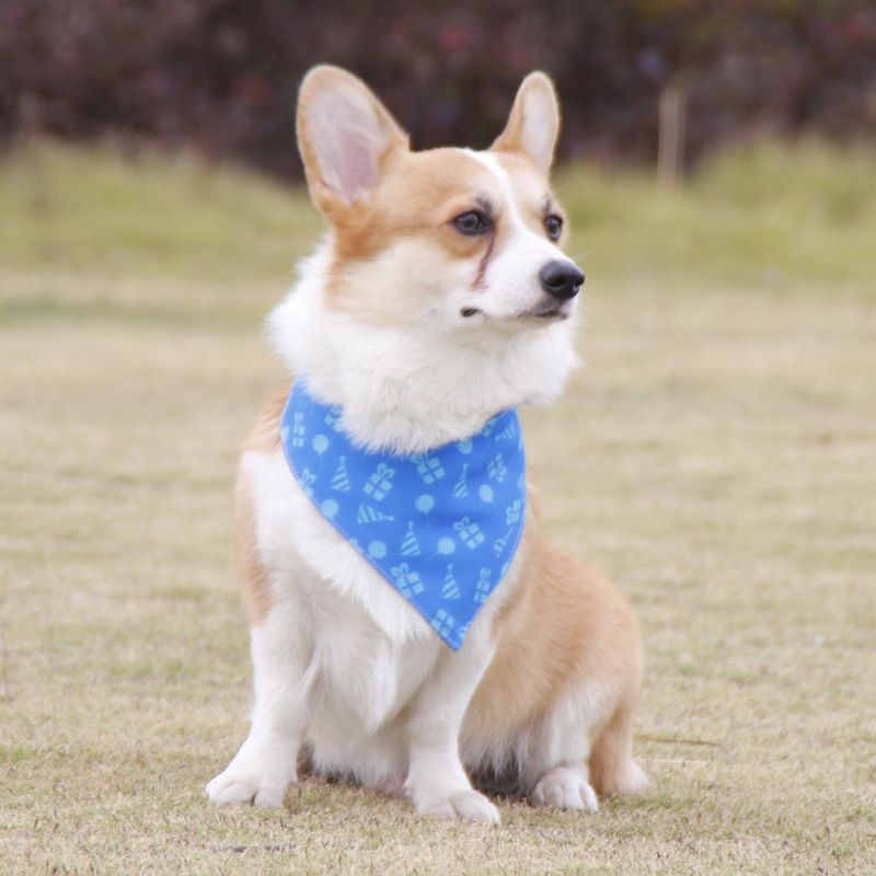 Wholesale Fashion Durable Adjustable Cute Pet Kerchief