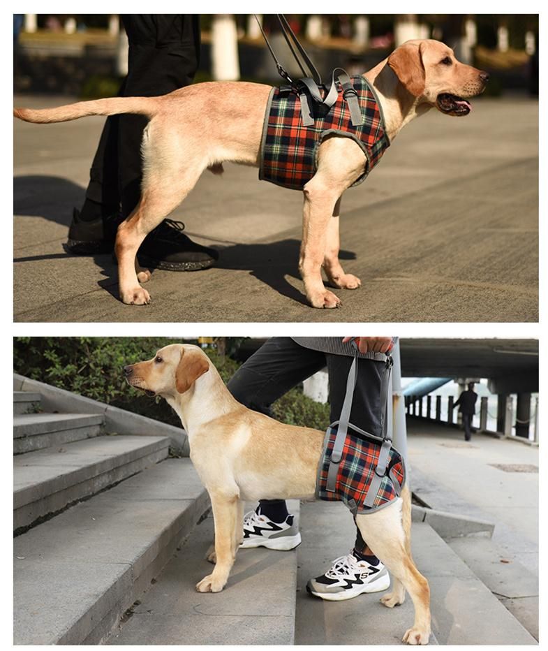 Pet Leg Hind Leg Auxiliary Belt Dog Postoperative Rehabilitation Belt Old Dog Auxiliary Walking Harness Leg Protector Pet Product