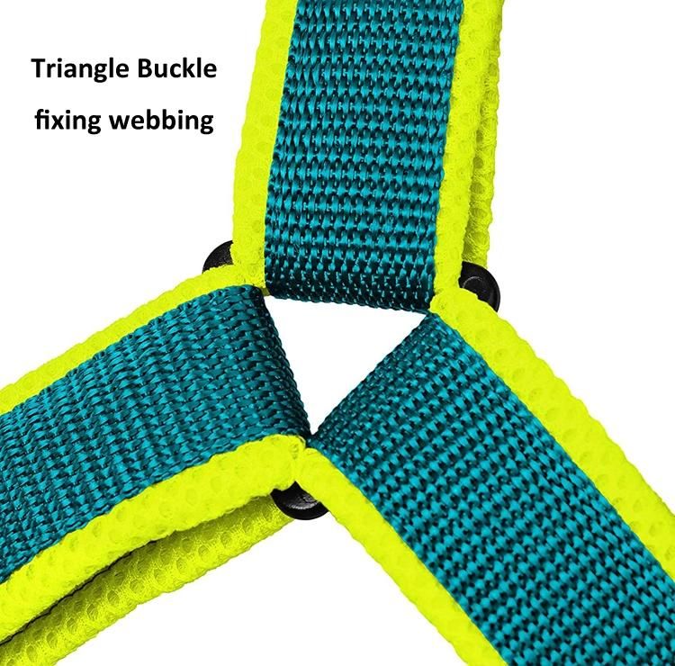 Outdoor Pet Accessory New Design Nylon Polyester Colorful Dog Harness