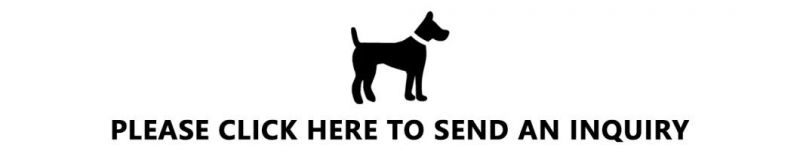 OEM Personalized Custom Pet Harness Wholesale Comfortable Padded Dog Harness Set Polyester Print Dog Collar Leash Custom Design Neck Adjustable Dog Harness