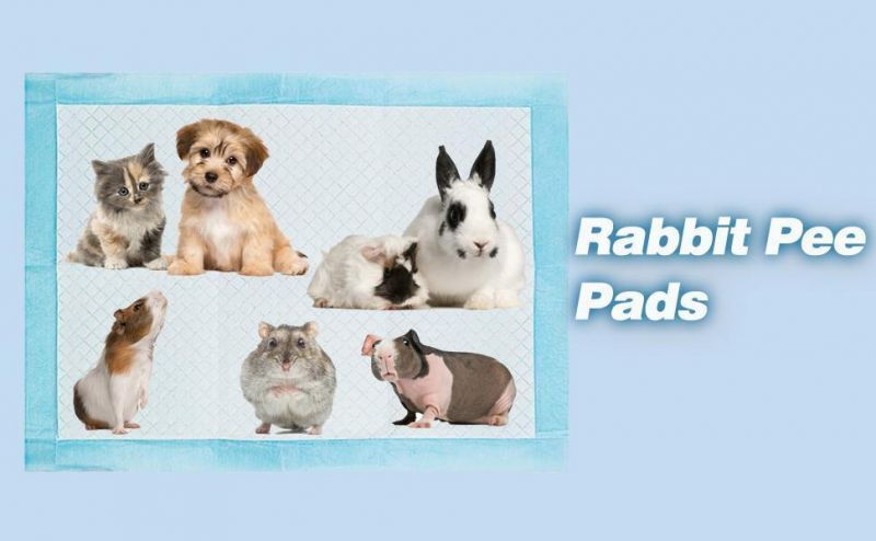 Pet Changing Pads Waterproof Pet Training Underpad