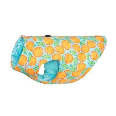Factory Direct Pet Accessories Supplier Duo Reversible Dog Raincoat Pet Products