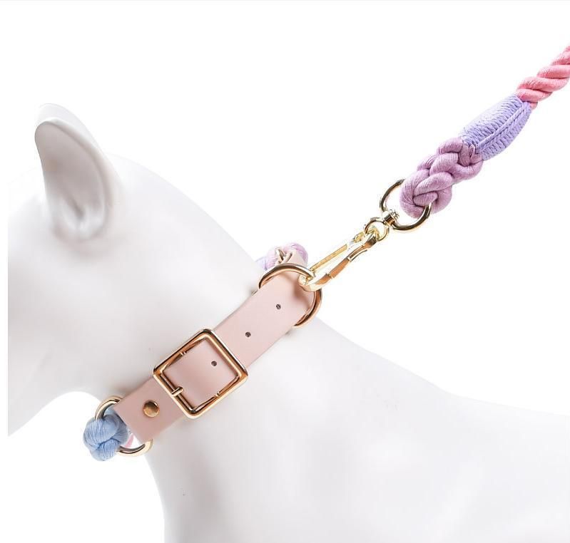 Muticolor Outdoor Cotton Heavy Duty Outdoor Dog Leash Pet Supply