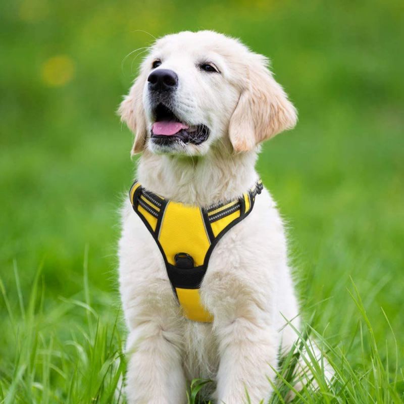 Safe and Comfortable Rflective Dog Harness Amazon Best Seller