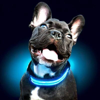 Ultra Bright LED Dog Collar USB Rechargeable Dog Light