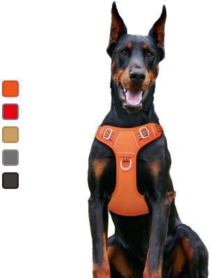 Comfortable Harness with Handle Outdoor Pet Vest