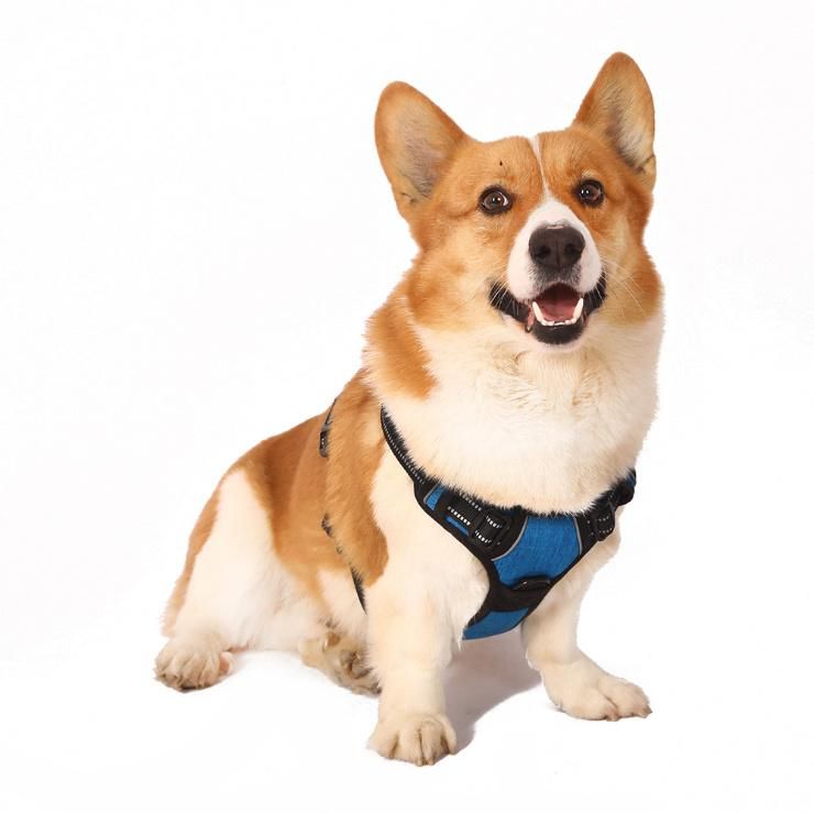 Pet Supplier OEM Dog Accessories Pet Cat Vest Harness and Leash Set Adjustable Comfortable Dog Harness