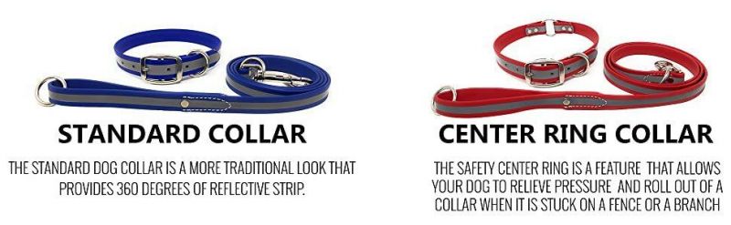 Heavy Duty Reflective Dog Collar with Center Ring and Leash Set