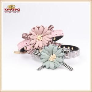 Two Colors Floret Pet Supplies/ Cat Dog Collars Kc0175