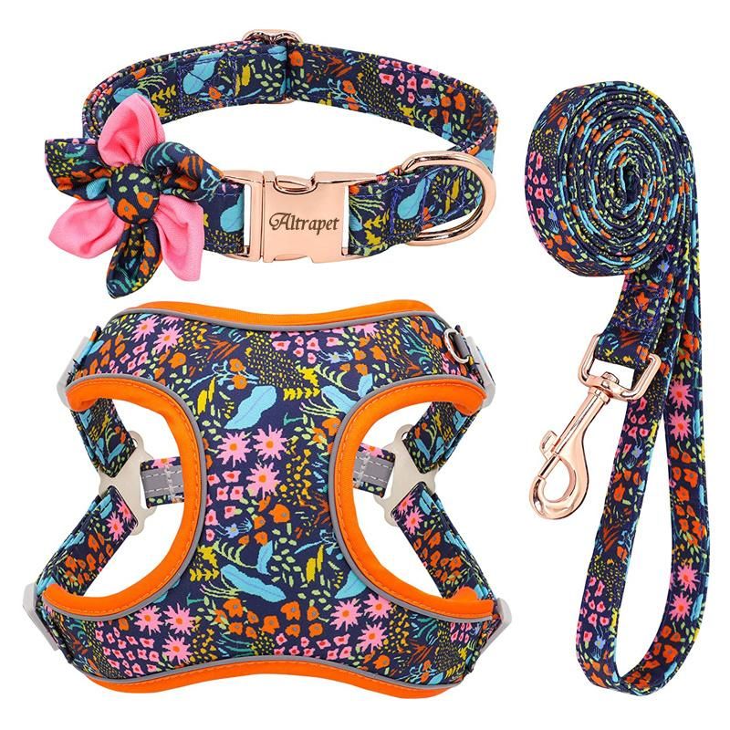 Personalised Custom Logo Adjustable Printed Dog Collar Leash and Harness