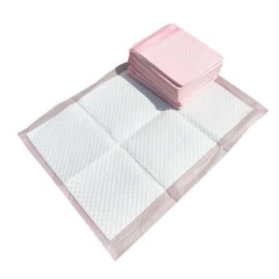 Wholesale Free Sample Disposable Pet Training Pet Pad Underpad for Training
