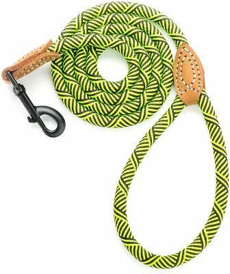 Hand Tailor High Quality Dog Leash Slip Lead for Dogs with Study Metal Clasp