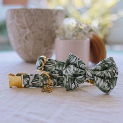 Basic Classic Padded Nice Gift Cute Dazzling Sparkling Dog Training Collar