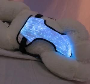 Creative Luminous Fiber Optic Pet Clothes LED Pet Clothes Anti-Lost Luminous Vest