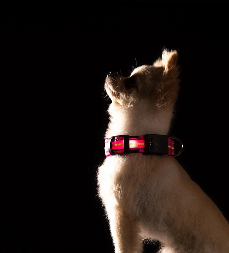 100% Waterproof Reflective Dog Collar Nylon Glowing Collar for Dogs